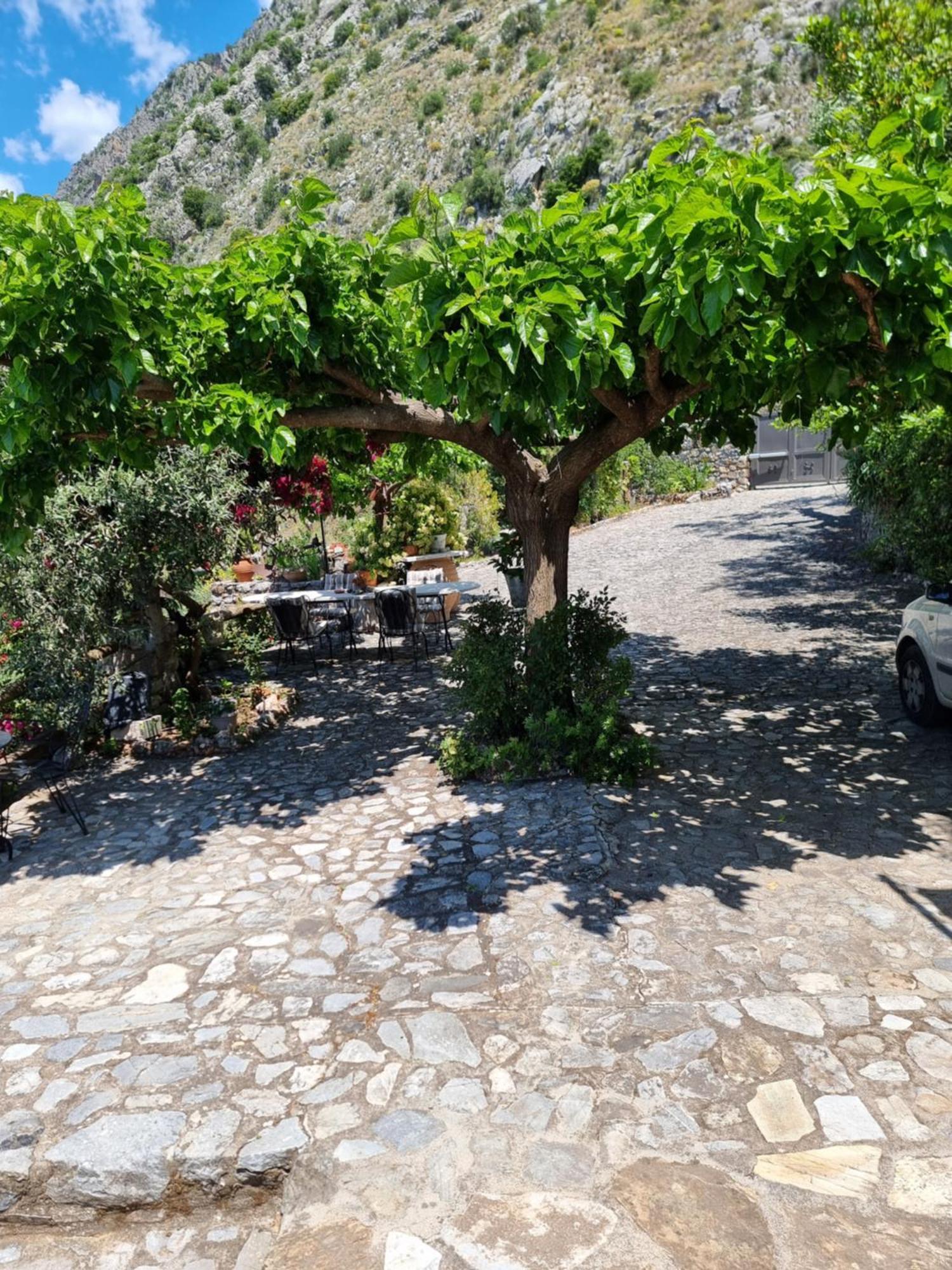 "Unique view" Διαμερισμα με θέα θάλασσα και πόλη Διαμέρισμα Καλαμάτα Εξωτερικό φωτογραφία